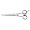 Scissors 3 claveles Hairdresser Air 5,5 " img 2