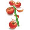 Pelador de tomates y kiwi img 4